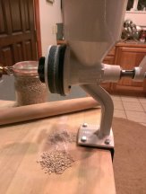 sunshine nugget barley test #1