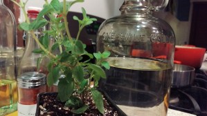 boiled water half gallon