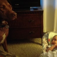 baby and dog