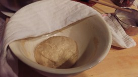 Kamut ready for bulk rise