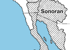 Mojave-sonoran_deserts